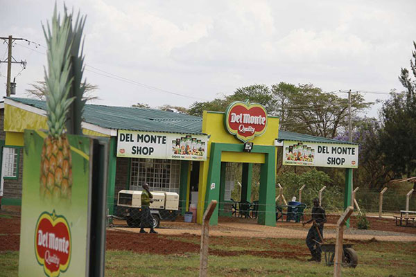 The Ministry of Lands usurped the powers of the National Land Commission (NLC) when it allocated disputed public land to Kiambu and Murang’a counties.