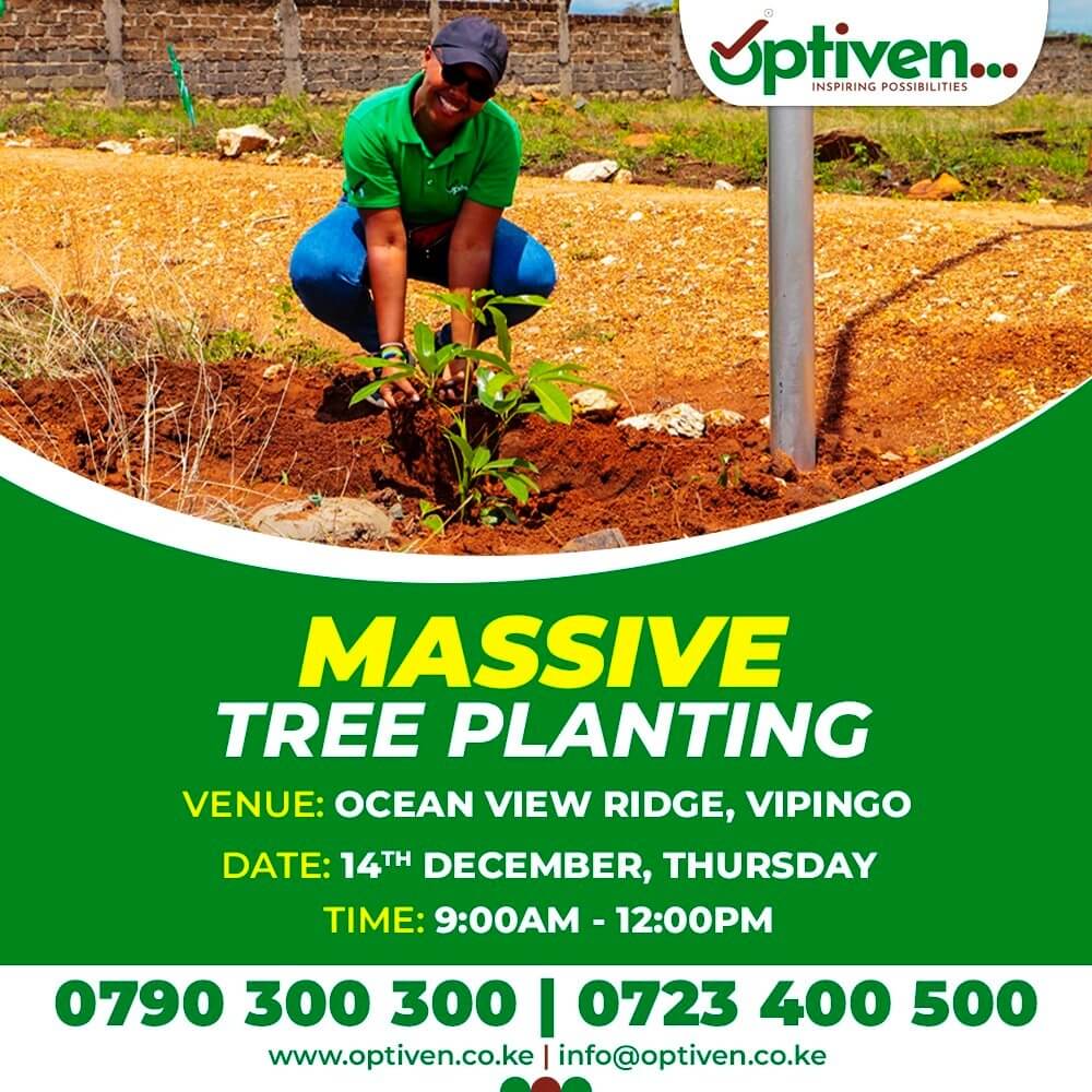 Optiven Unveils Grand Tree Planting Event at Ocean View Ridge Vipingo